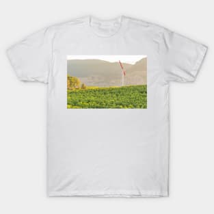 Okanagan Valley Summer Vineyard View T-Shirt